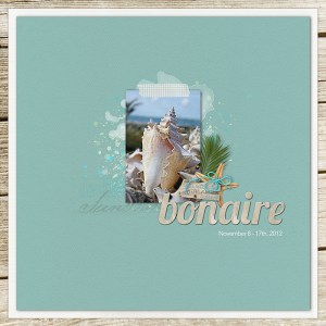 Bonaire2012_cover